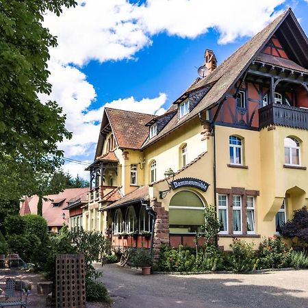Hotel Dammenmühle Lahr  Exterior foto